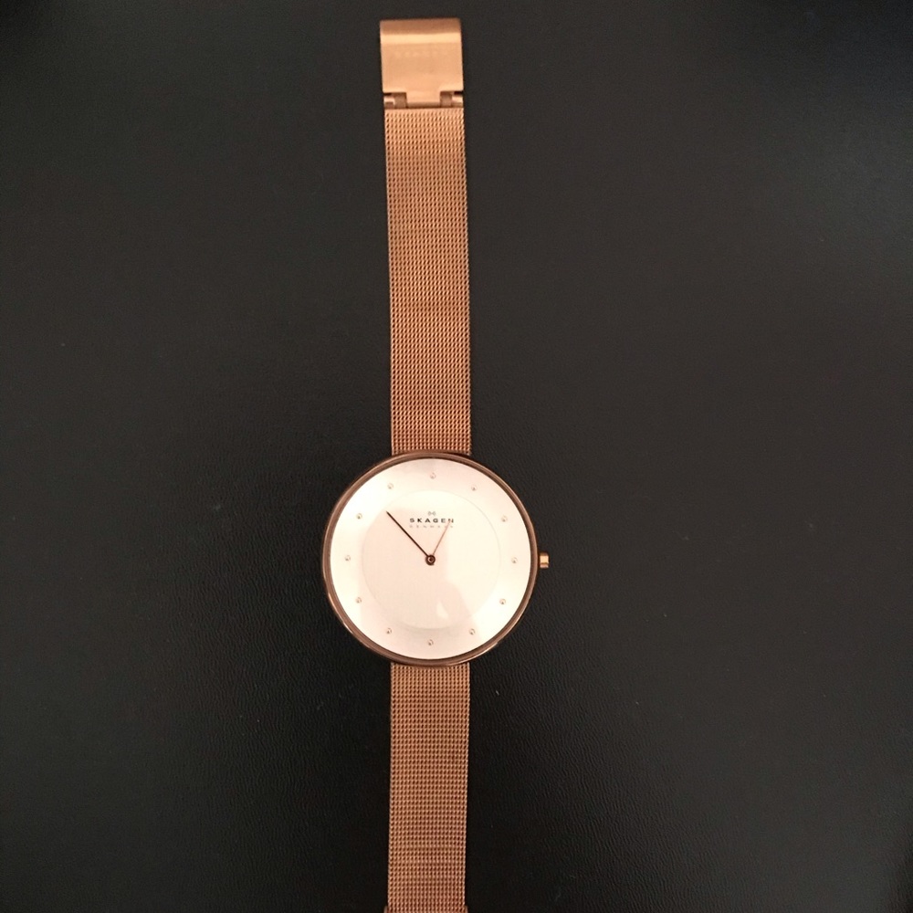 Skagen Karolina Rose Gold-Tone Steel-Mesh Watch